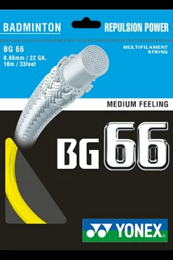 Bg66